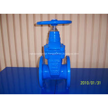 Resilient Seat Cast iron Gate Valve